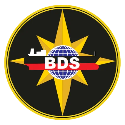LOGO-BDS-2